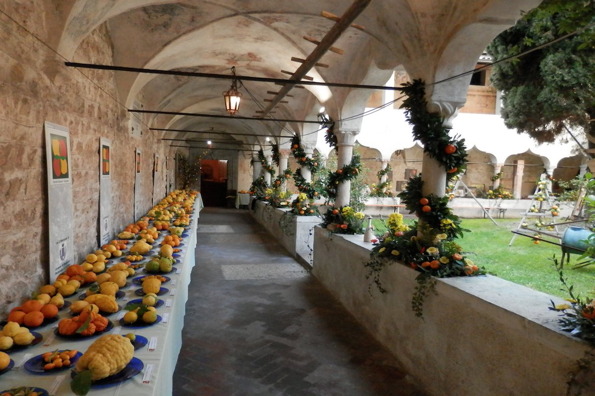 1 GIARDINI AGRUMI 2018 CHIOSTRO